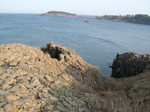 DSCF1029.JPG
